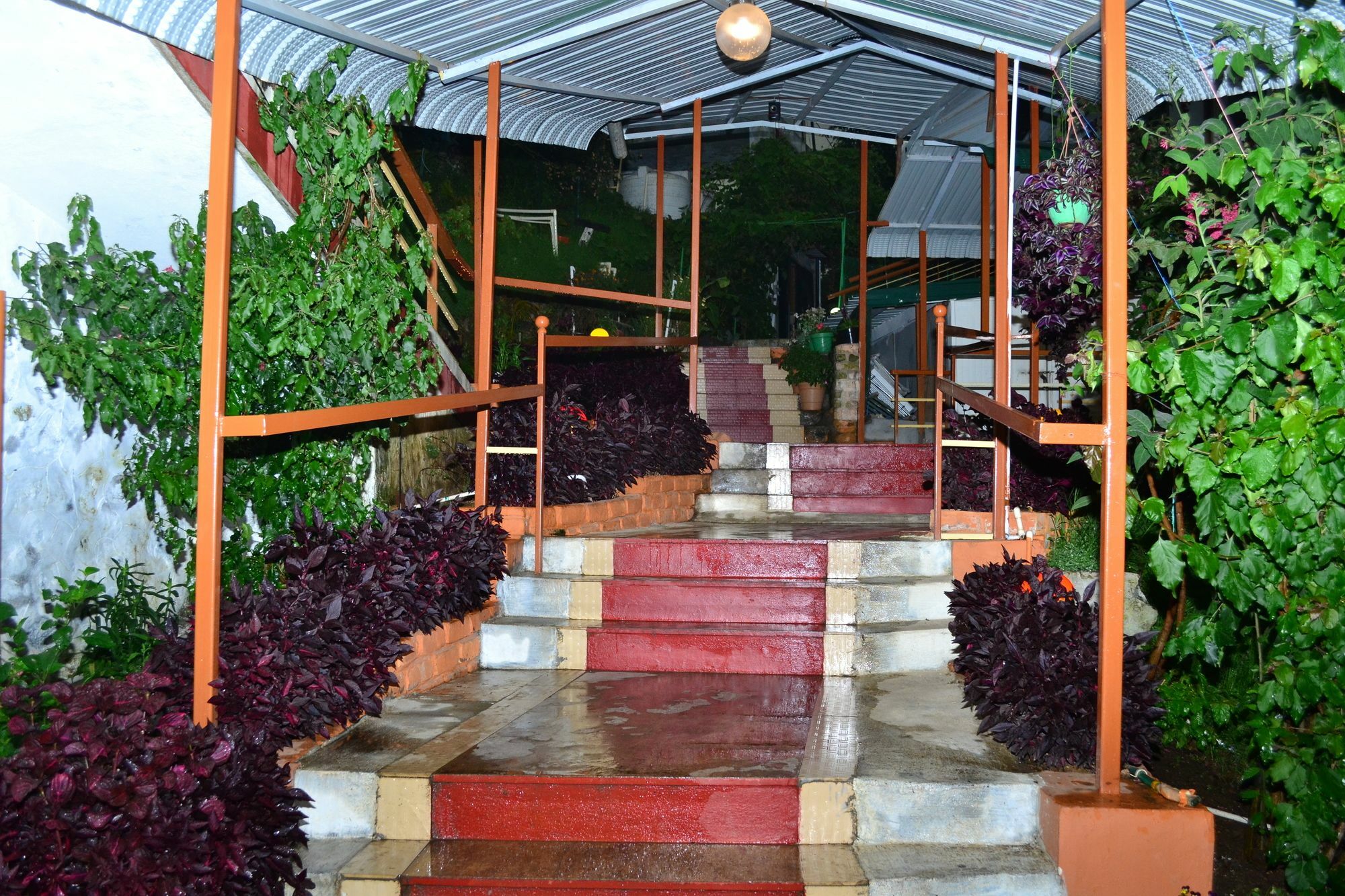 Kodai Sunshine Resort Kodaikanal Exterior foto